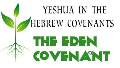 covenant 01