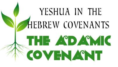 covenant 02