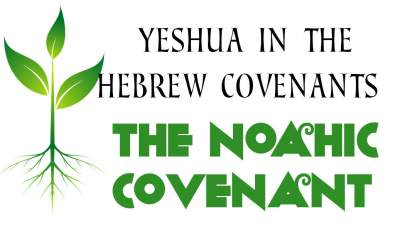 covenant 03