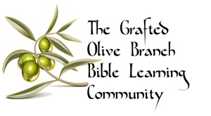 graftedolivebranch.club Logo